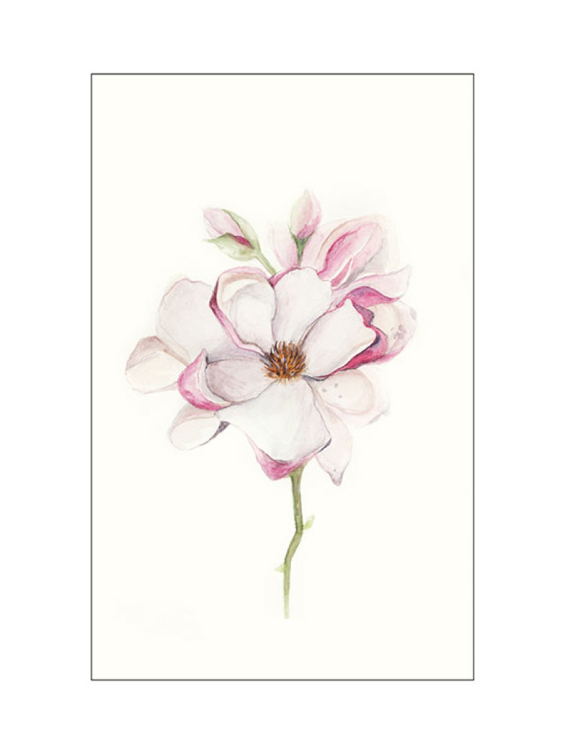 Magnolia Blossom - Thumbnail View 1