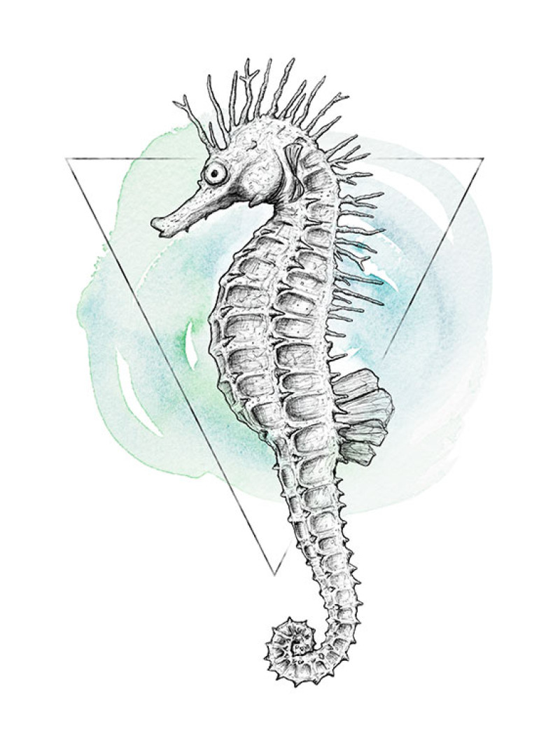 Sea Horse Watercolor - Thumbnail View 1