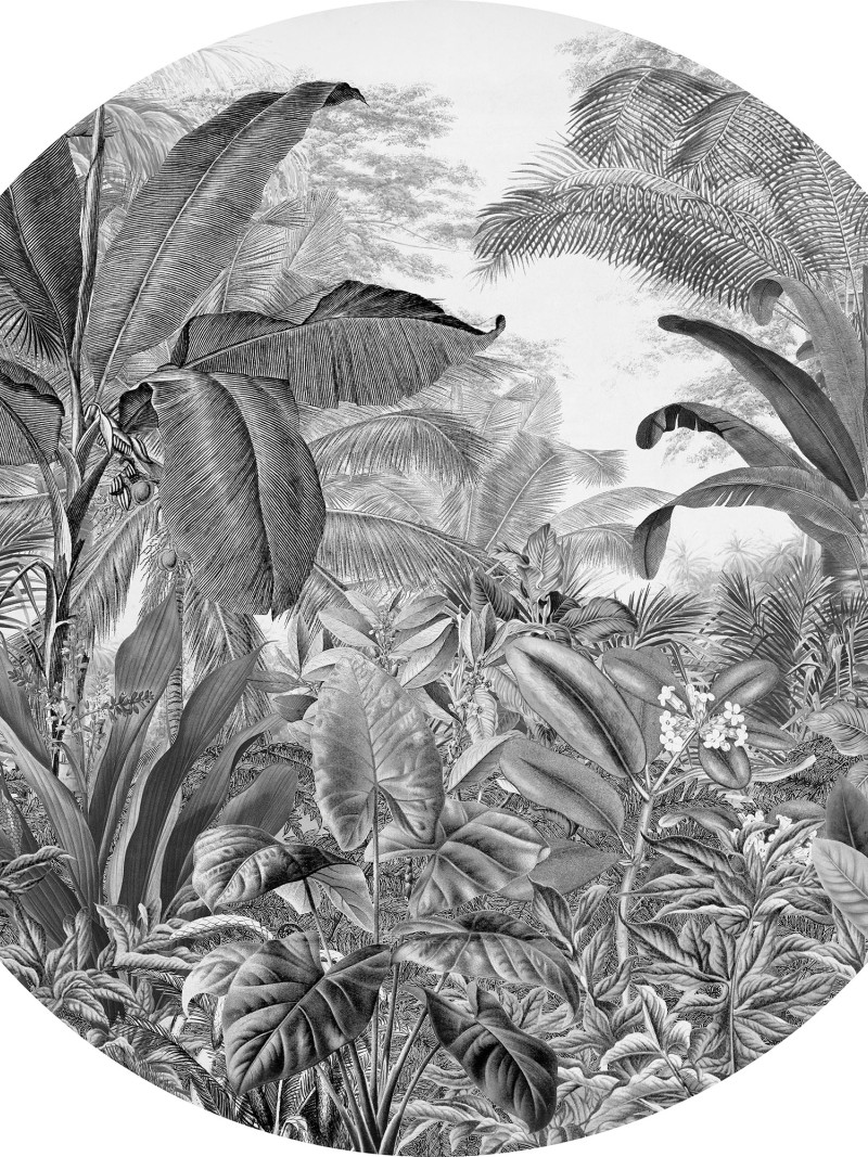 Wild Woods - Thumbnail View 1