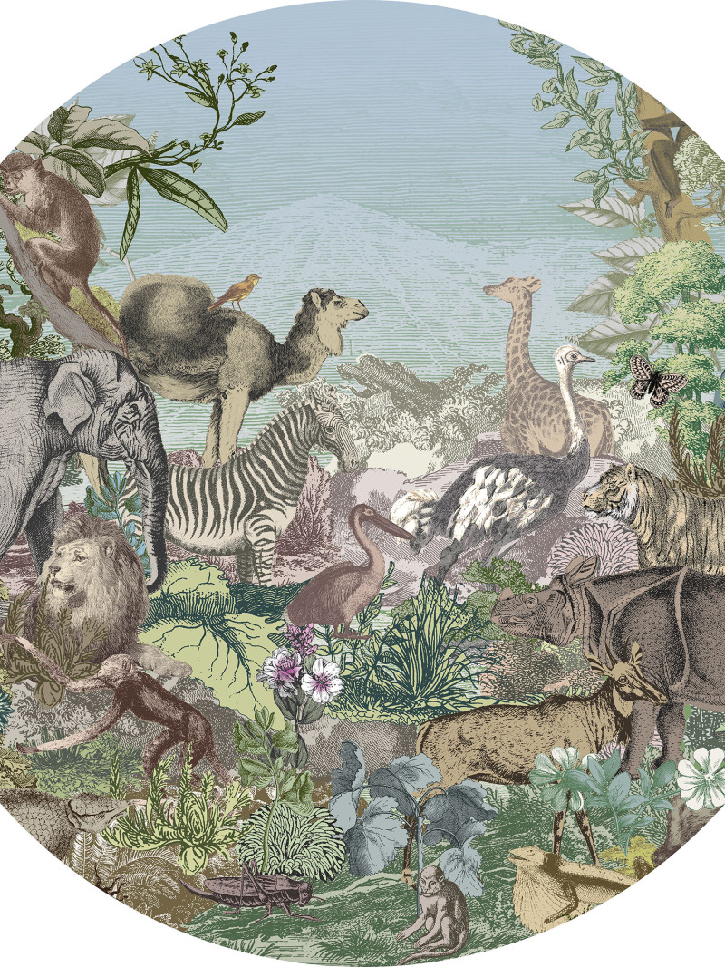 Animal Kingdom - Thumbnail View 1