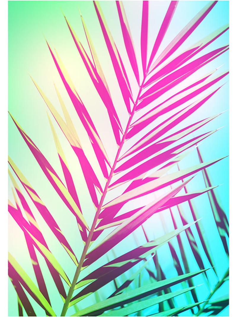 Shine - Thumbnail View 1