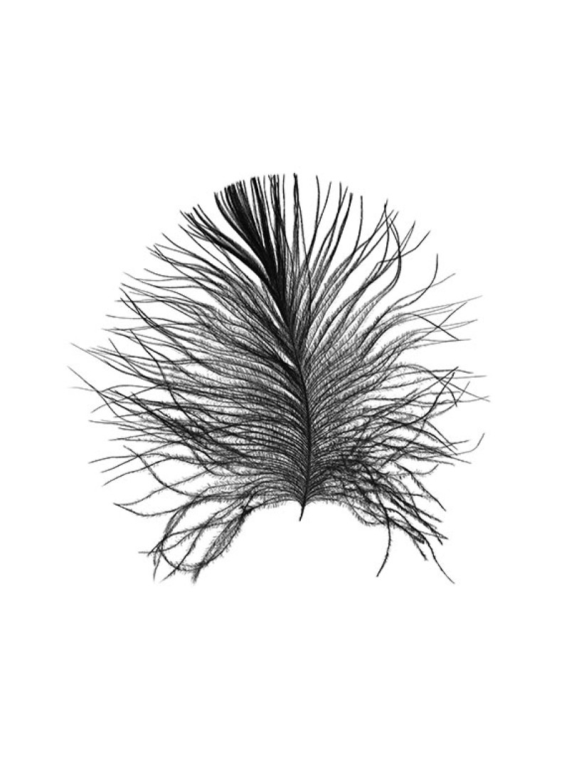 Feather White - Thumbnail View 1