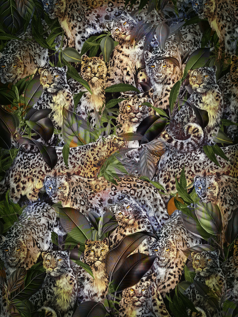 Wild Cats - Thumbnail View 1
