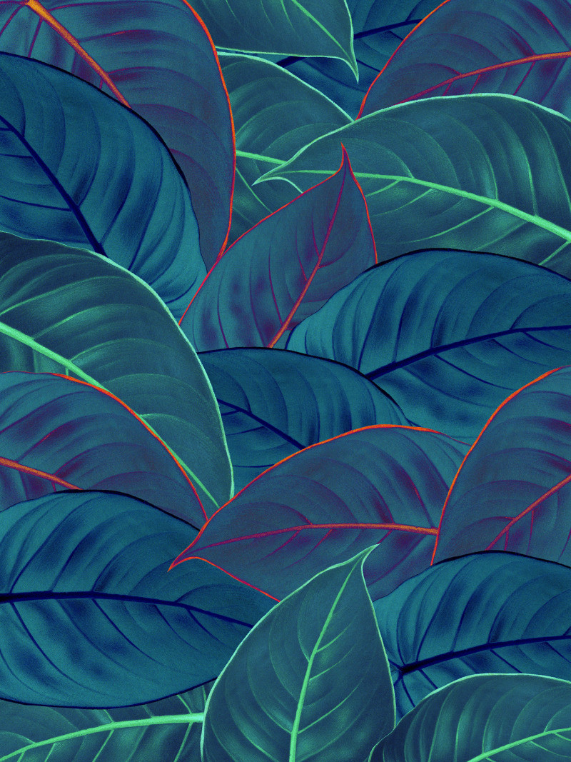 Foliage - Thumbnail View 1