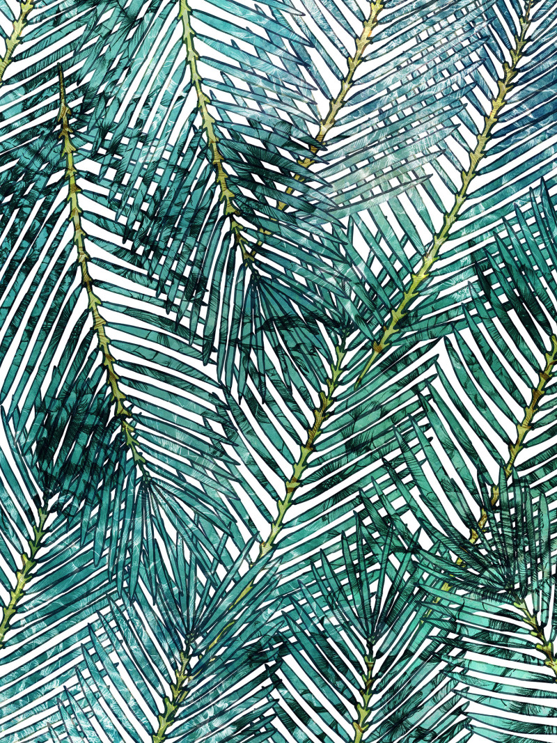 Palm Canopy - Thumbnail View 1