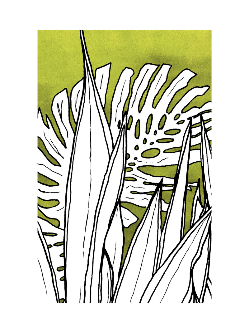 Dried Leaves - Thumbnail View 1