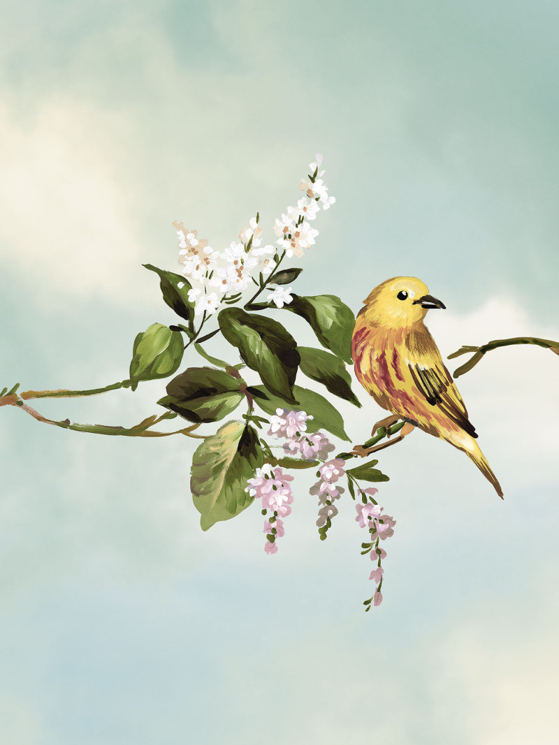 Gazouillis des Oiseaux - Thumbnail View 1