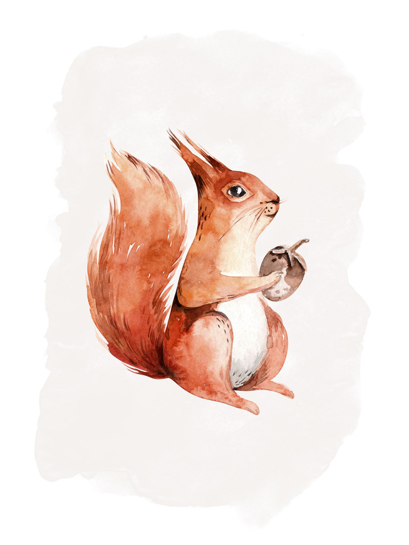 Hungry Squirrel - Thumbnail View 1