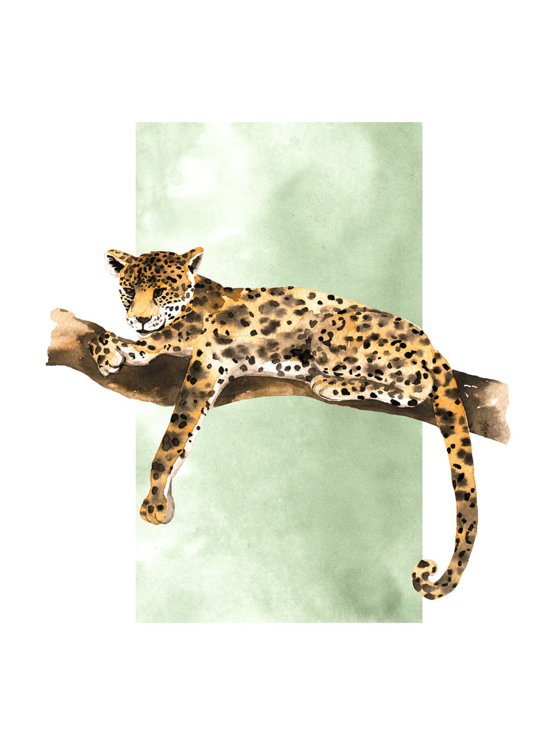 Lazy Leopard - Thumbnail View 1