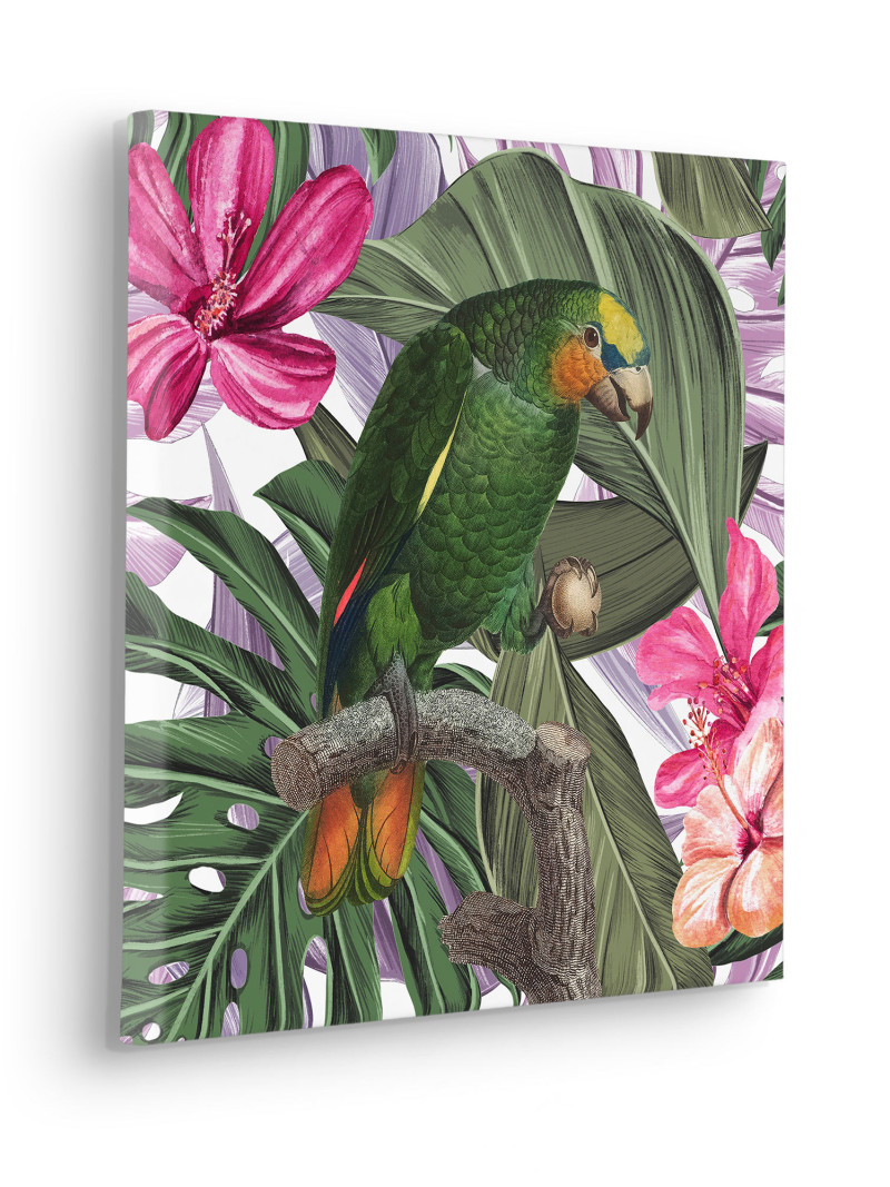 Hibiscus Flirt - Thumbnail View 1