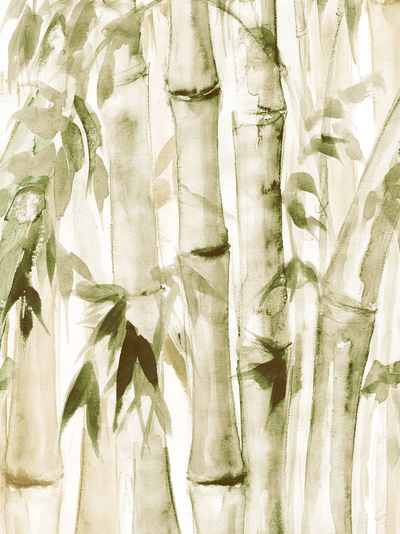 Wild Bamboo - Thumbnail View 1