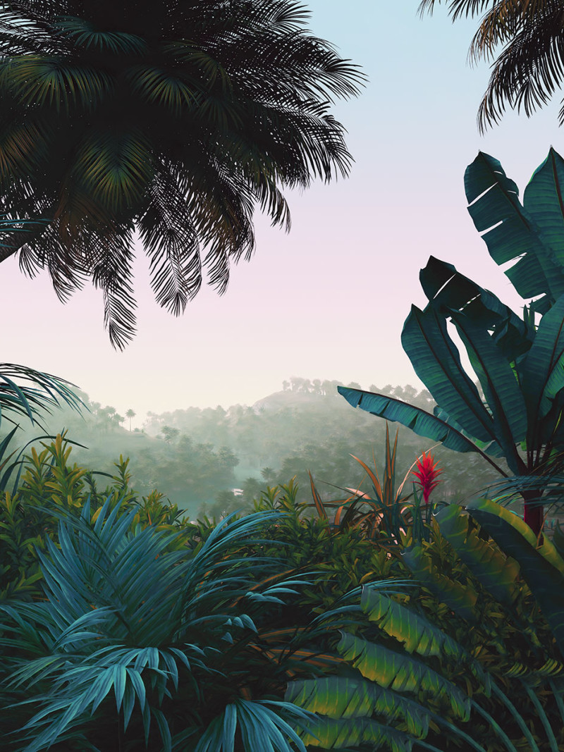 Jungle Morning - Thumbnail View 1