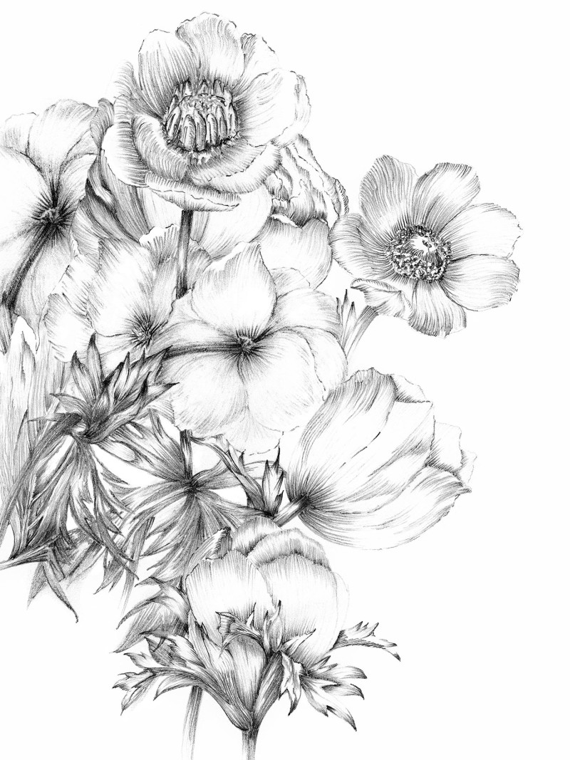 Embroidery - Thumbnail View 1