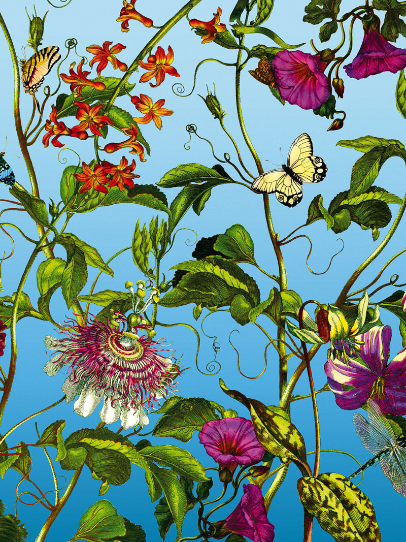 Jardin - Thumbnail View 1