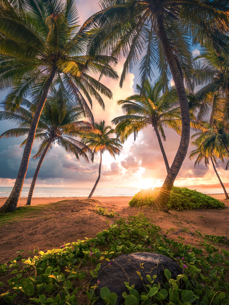 Vertical Paradise - Thumbnail View 1