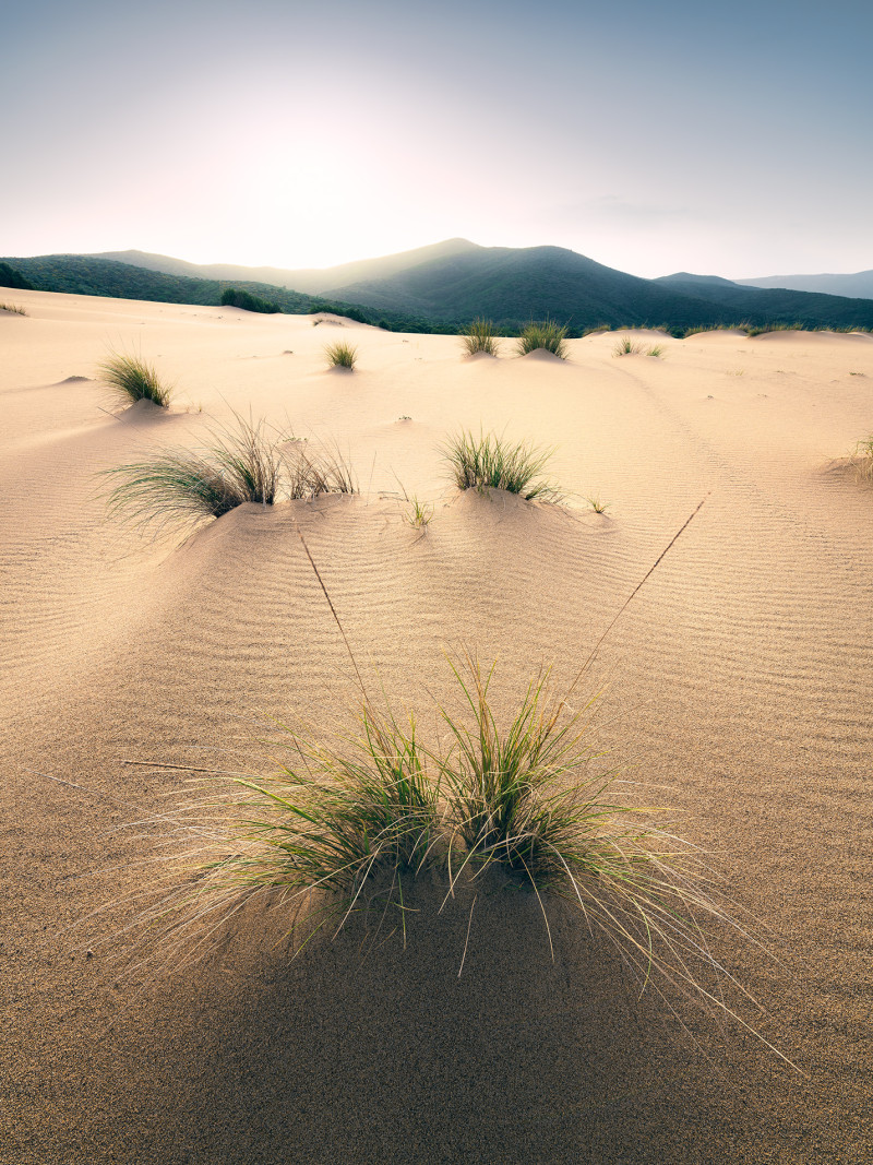 Vivid Dunes - Thumbnail View 1