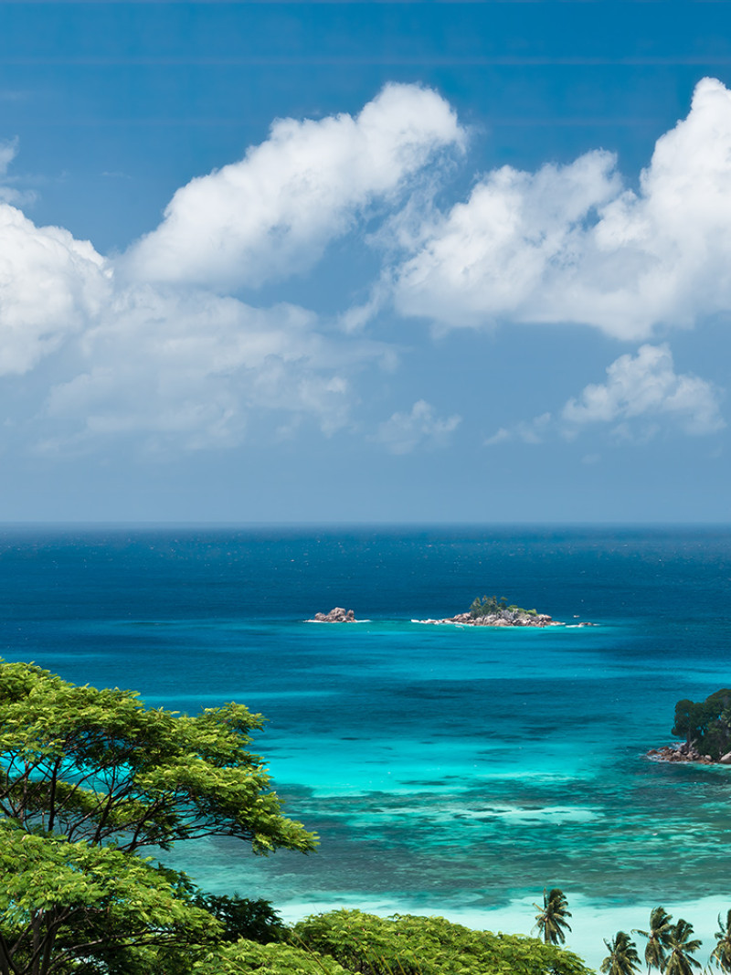 The Sea View - Thumbnail View 1