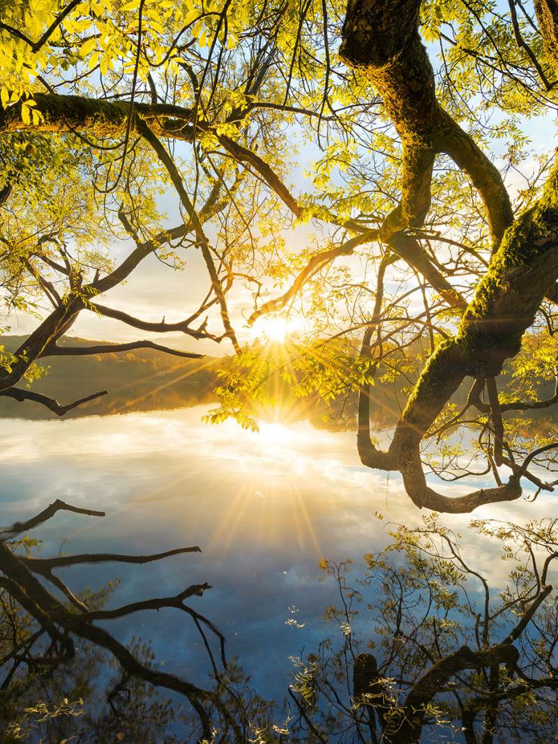Golden Embrace - Thumbnail View 1