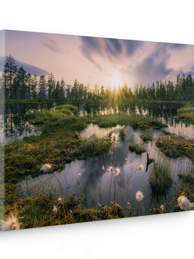 Gloomy Swamps - Thumbnail View 1