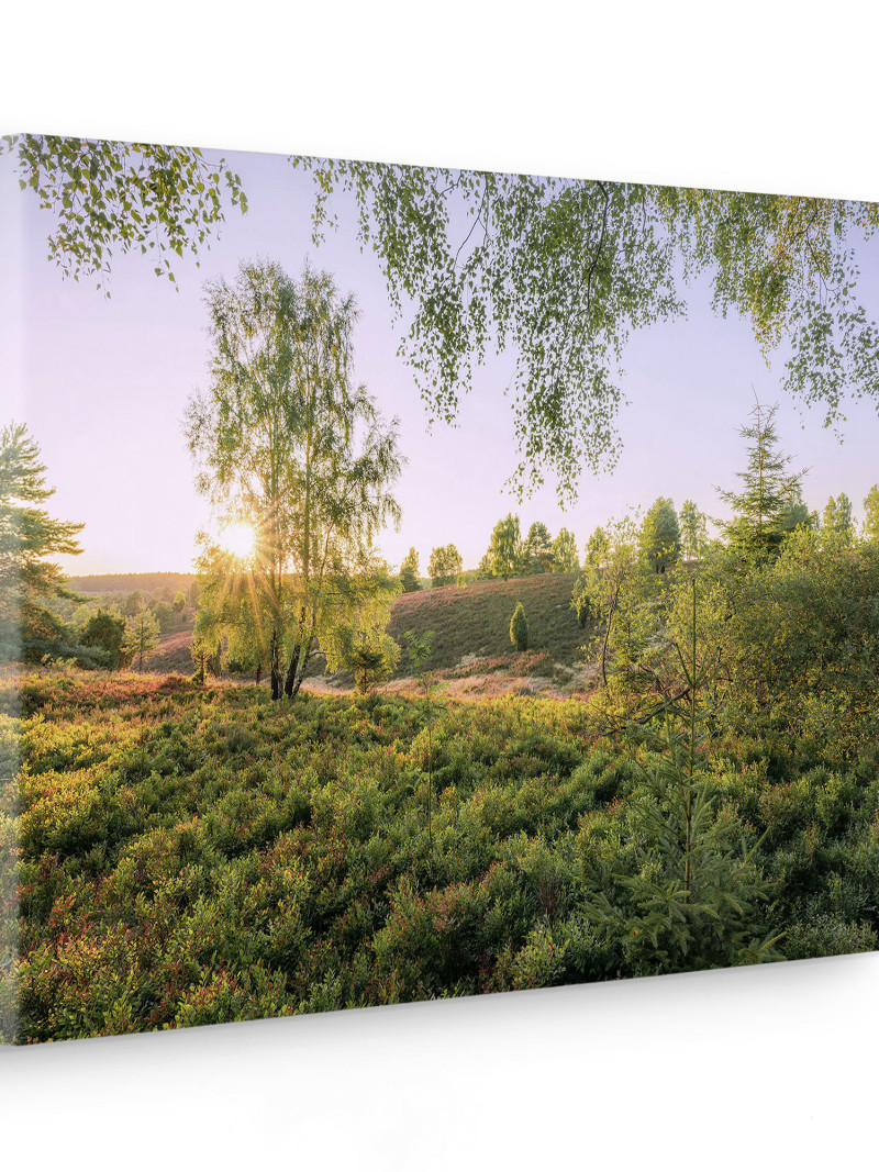 Sommerabend - Thumbnail View 1
