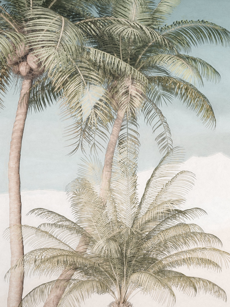Palm Oasis - Thumbnail View 1