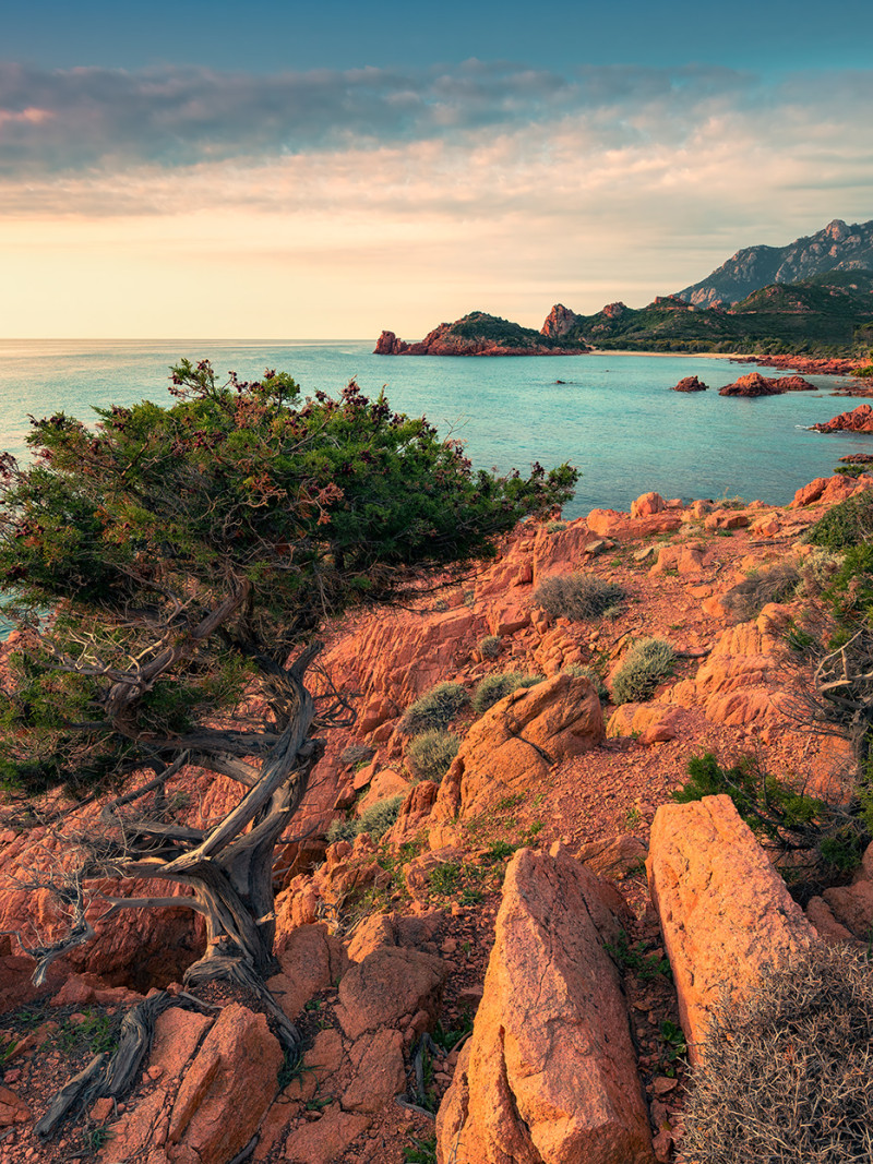 Paradiso II - Thumbnail View 1