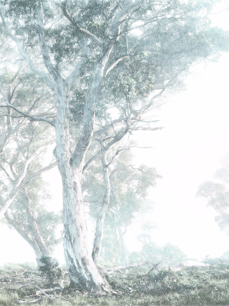 Magic Trees - Thumbnail View 1