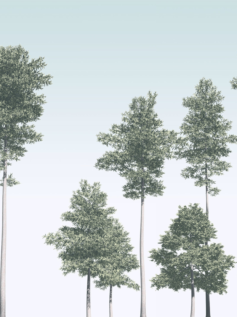 Pines - Thumbnail View 1