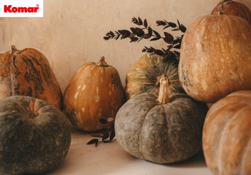 The pumpkin – an autumn all-rounder