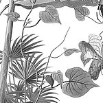Different types of leaves in grey on a white surface - View 1