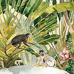 Two monkeys in jungle painted in watercolor look