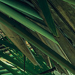 Beeindruckende Details - View 5