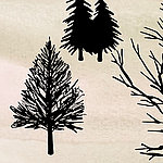 Черные иллюстрированные деревья