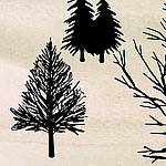 Black illustrated trees - View 1