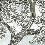 Baum Illustration Schwarz