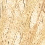Motif beige avec des herbes