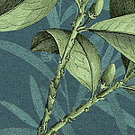 Green drawn leaves on blue background