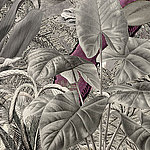 Grey plants with hidden dinosaur