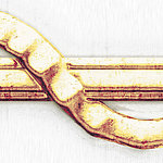 Golden jewelry detail