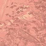 Rose, motif abstrait de feuilles