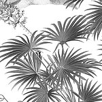 Pflanze in dunkelgrau mit weißem Hintergrund