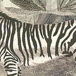 Деталь нарисованной зебры