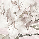 Weiße Blüten - View 1