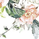 Fleur rose peinte à l'aquarelle