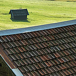 Grüne Bergwiese mit Sicht auf Hausdach