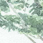Treetop watercolour