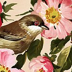 Oiseau brun entre des fleurs roses