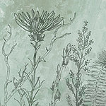 Filigran gezeichnete Gräser und Blüten in grün
