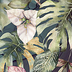 Растение монстера, нарисованное акварелью в оптике