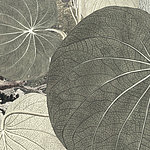 Detailreich gemalte, runde Blätter in Dunkelgrün